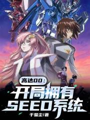高达00：开局拥有SEED系统