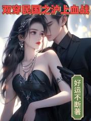 双川民国之沪上血战