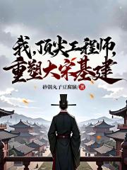 我，顶尖工程师，重塑大宋基建