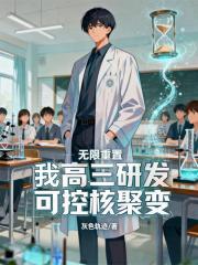 无限重置，我高三研发可控核聚变