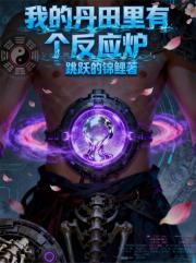 我的丹田里有个反应炉