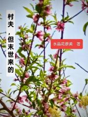 村夫，但末世来的