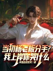 当初杨老板分手？我上岸你哭什么