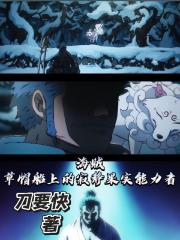 海贼：草帽船上的寂静果实能力者