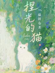 捏光的猫