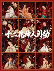 十二花神人间劫
