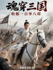 魂穿三国收服一百单八将