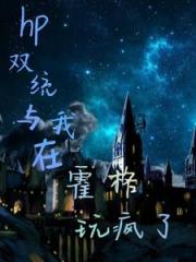 HP双统与我在霍格玩疯了
