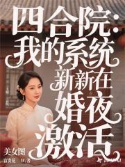 四合院：我的系统在新婚夜激活