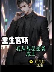 重生官场：我从基层逆袭成王