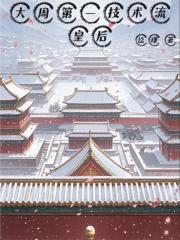 大周第一技术流皇后