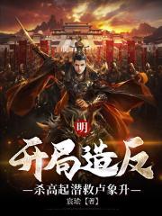 明：开局造反，杀高起潜救卢象升