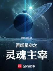 吞噬星空之灵魂主宰
