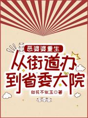 恶婆婆重生：从街道办到省委大院