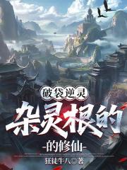 破袋逆灵：杂灵根的修仙