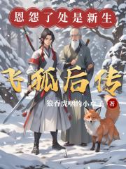 飞狐后传：恩怨了处是新生