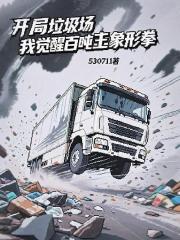 垃圾场开局，我解锁百吨王象形拳