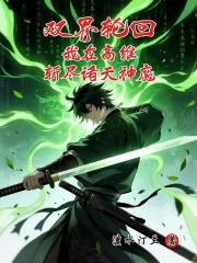 双界轮回我在高维斩尽诸天神魔