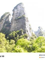 荷叶闲客中短篇小说选集四