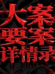 大案要案详情录