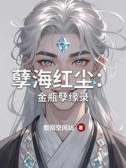 孽海红尘：金瓶孽缘录