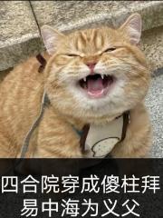 四合院穿成傻柱拜易中海为义父