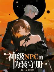 神级NPC的伪装守册