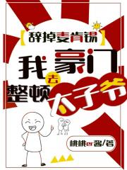 辞掉麦肯锡，我去豪门整顿太子爷