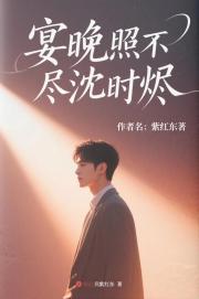 宴晚照不尽沈时烬